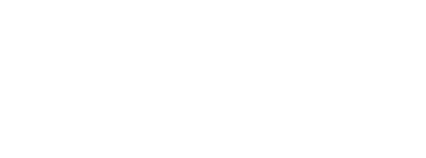 DPIE NSW Logo White